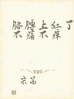 胳膊上红了一片不痛不痒