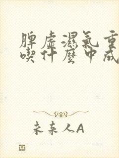 脾虚湿气重血虚吃什么中成药