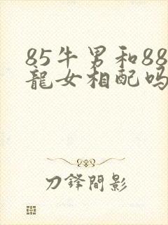 85牛男和88龙女相配吗