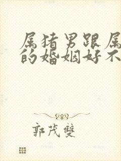 属猪男跟属龙女的婚姻好不好