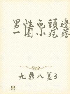 男性龟头边缘有一圈小疙瘩