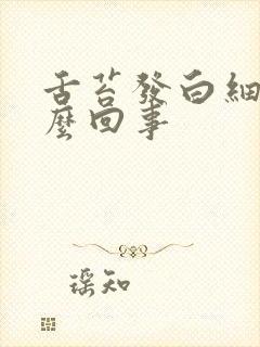 舌苔发白细腻怎么回事