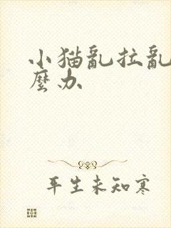 小猫乱拉乱尿怎么办