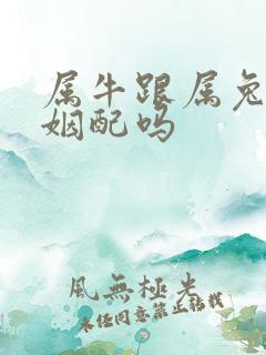 属牛跟属兔的婚姻配吗