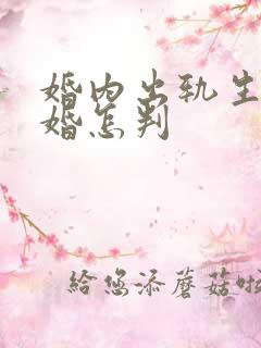 婚内出轨生子离婚怎判