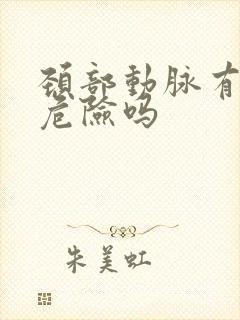 颈部动脉有斑块危险吗