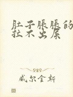 肚子胀胀的但是拉不出屎