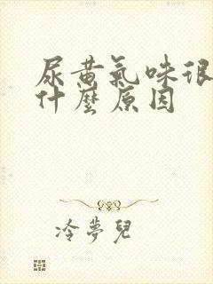 尿黄气味很重是什么原因