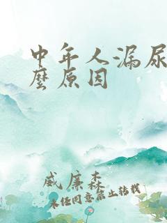 中年人漏尿是什么原因