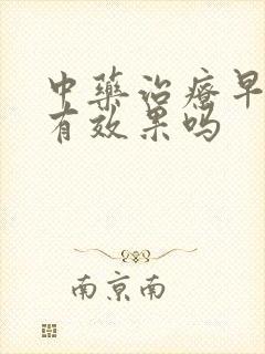 中药治疗早些泄有效果吗