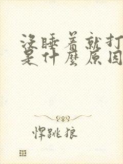 没睡着就打呼噜是什么原因