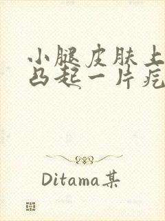 小腿皮肤上红色凸起一片疙瘩