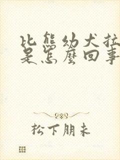 比熊幼犬拉软便是怎么回事