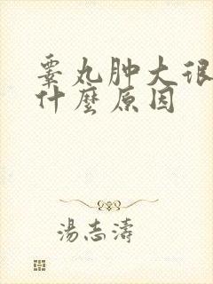 睾丸肿大很痛是什么原因