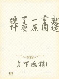 硬了一会就软是什么原因造成的