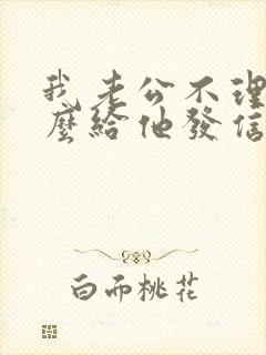 我老公不理我怎么给他发信息