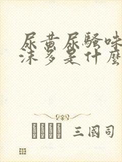 尿黄尿骚味重泡沫多是什么原因