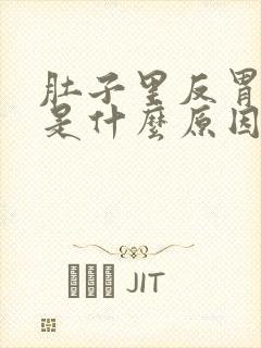 肚子里反胃想吐是什么原因