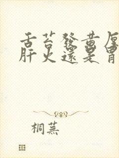 舌苔发黄厚腻是肝火还是胃火