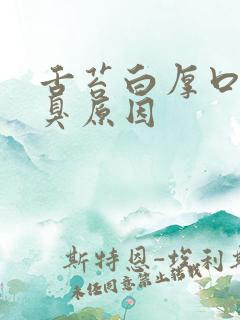 舌苔白厚口苦口臭原因