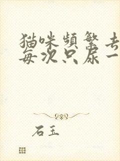 猫咪频繁去厕所每次只尿一点,或者没有