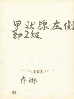 甲状腺左侧叶结节2级