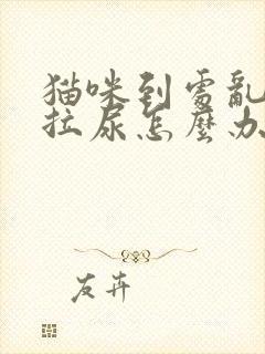 猫咪到处乱拉屎拉尿怎么办