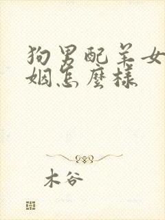 狗男配羊女的婚姻怎么样