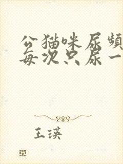 公猫咪尿频而且每次只尿一点