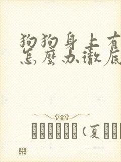 狗狗身上有蜱虫怎么办彻底清除掉