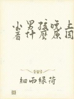 小男孩晚上睡不着什么原因