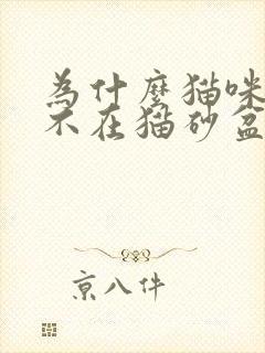 为什么猫咪突然不在猫砂盆里拉屎