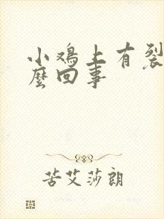 小鸡上有裂口怎么回事