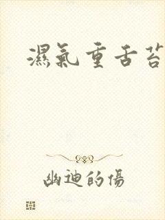 湿气重舌苔黄厚