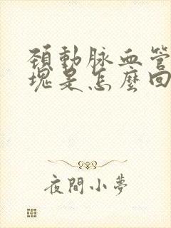 颈动脉血管有斑块是怎么回事