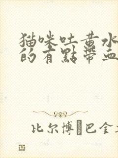 猫咪吐黄水后吐的有点带血水