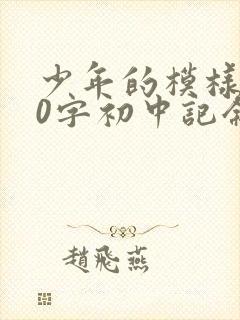 少年的模样800字初中记叙文