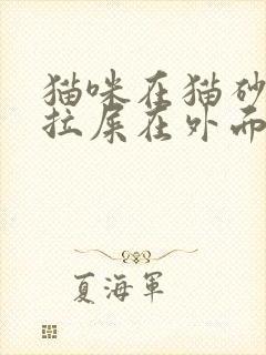 猫咪在猫砂盆里拉屎在外面乱尿