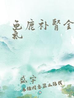 龟鹿补肾金匮肾气