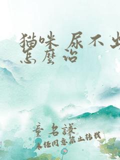 猫咪 尿不出尿怎么治