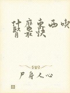 什么东西吃了补肾最快