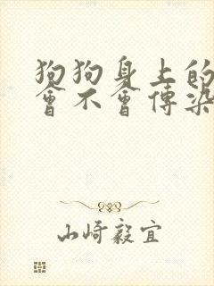 狗狗身上的虫子会不会传染到人身上