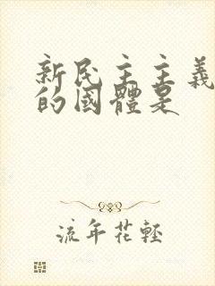 新民主主义革命的国体是