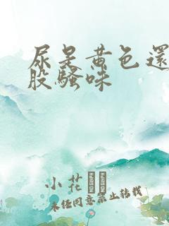 尿是黄色还有一股骚味