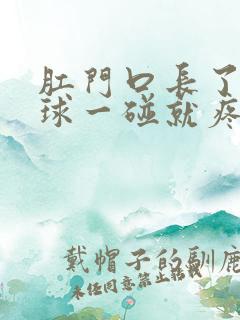 肛门口长了个肉球一碰就疼