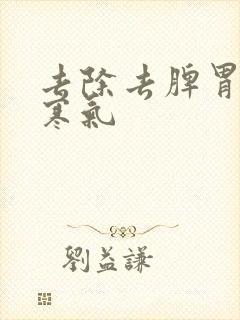 去除去脾胃湿气寒气