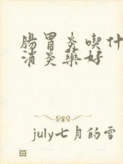 肠胃炎吃什么药消炎药好