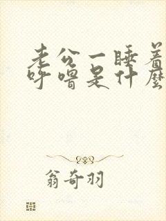 老公一睡着就打呼噜是什么原因