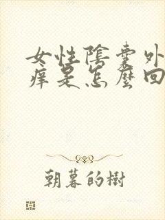 女性阴囊外面瘙痒是怎么回事