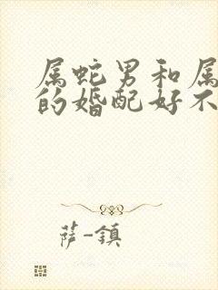 属蛇男和属龙女的婚配好不好